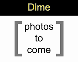Details about the 1911 model Dime Dime