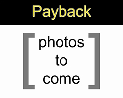 Details about the 1911 model Payback Payback