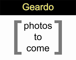 Details about the AUG-A2 model Geardo Geardo