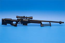 The black AWM Image of the Panther AWM Model