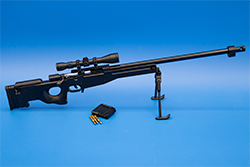 The black AWM Image of the Panther AWM Model