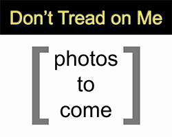 Details about the GoatGuns M16A1 model Don't Tread on Me Don't Tread on Me