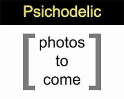 Details about the GoatGuns M16A1 model Psichodelic Psichodelic