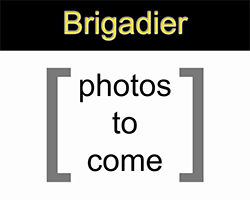 Details about the M1 Garand model Brigadier Brigadier
