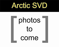 Details about the white and black Arctic SVD model Arctic SVD