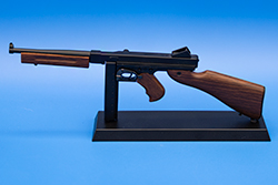 TMS The current TSMG model