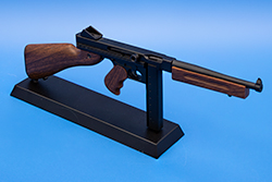 TMS The current TSMG model