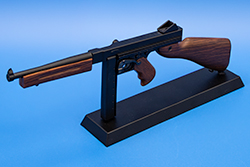 TMS The current TSMG model