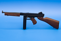 TMS The current TSMG model
